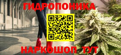 молекула духа Краснознаменск